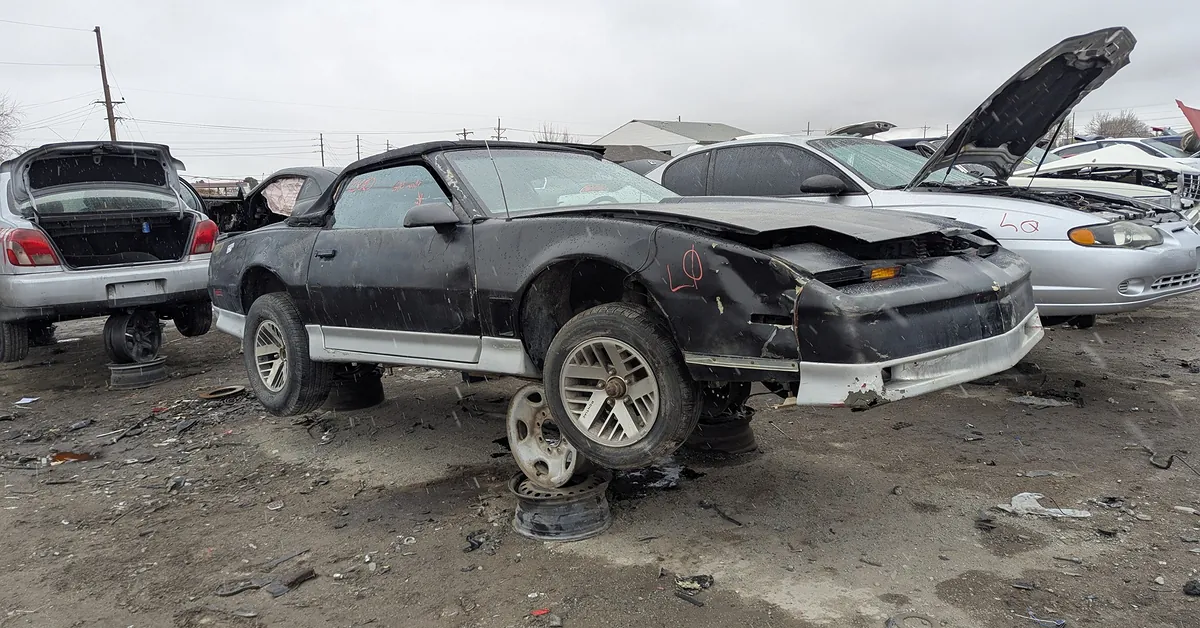 Junkyard Find: 1982 Pontiac Firebird S/E Autoform Convertible 2-Seater